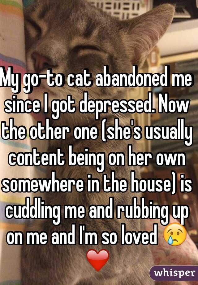 My go-to cat abandoned me since I got depressed. Now the other one (she's usually content being on her own somewhere in the house) is cuddling me and rubbing up on me and I'm so loved 😢❤️