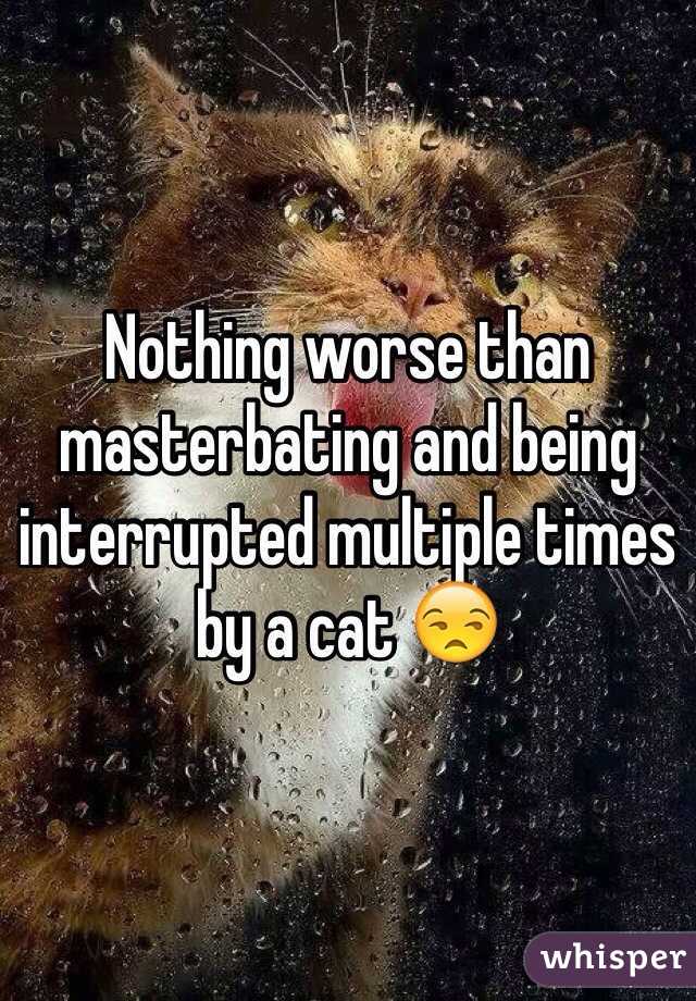 Nothing worse than masterbating and being interrupted multiple times by a cat 😒