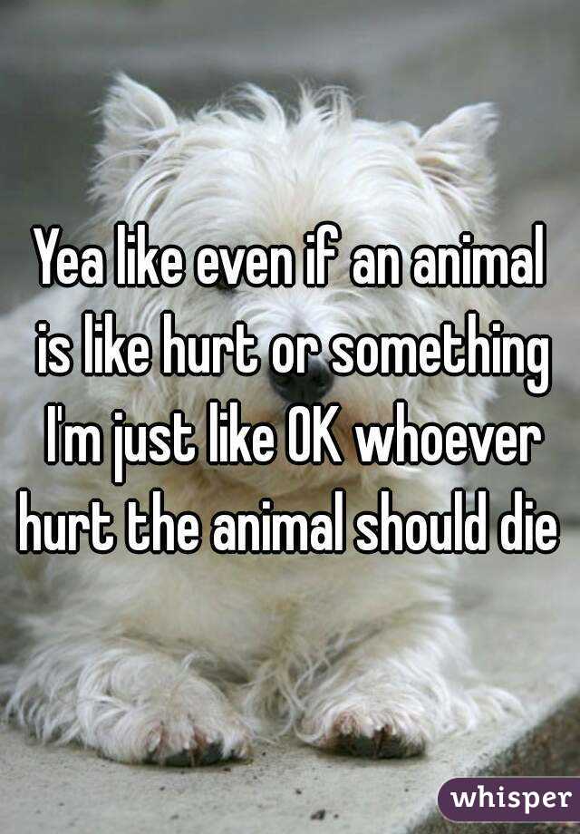 Yea like even if an animal is like hurt or something I'm just like OK whoever hurt the animal should die 