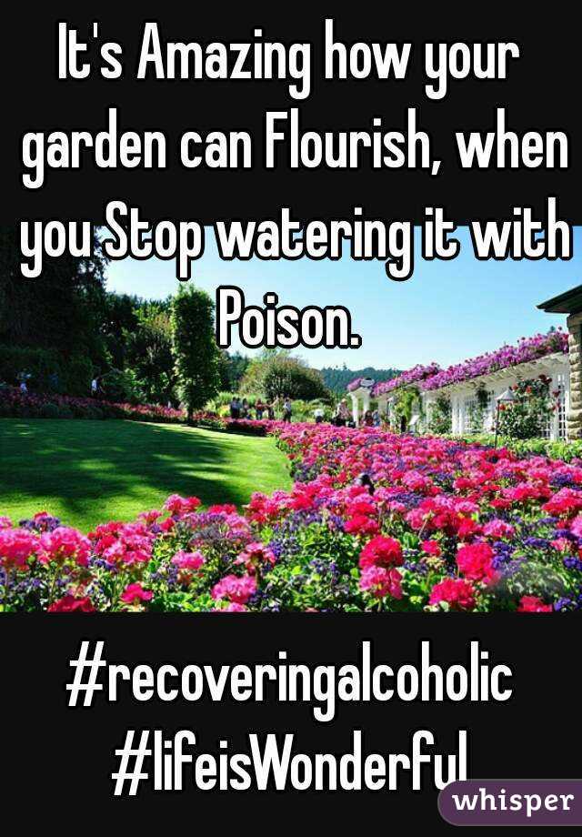 It's Amazing how your garden can Flourish, when you Stop watering it with Poison. 



#recoveringalcoholic
#lifeisWonderful