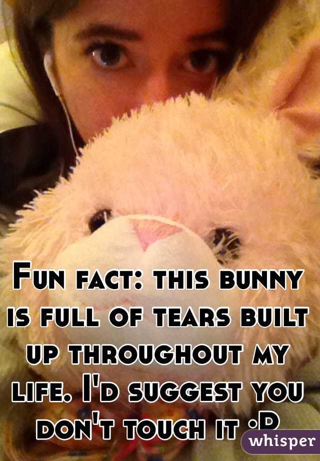 Fun fact: this bunny is full of tears built up throughout my life. I'd suggest you don't touch it :P