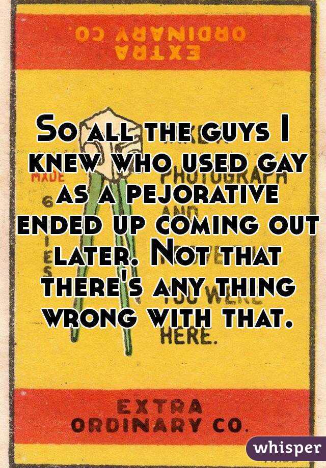 So all the guys I knew who used gay as a pejorative ended up coming out later. Not that there's any thing wrong with that.