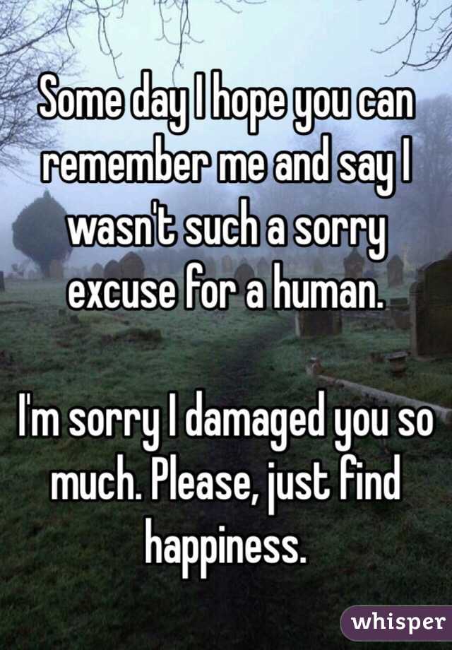 Some day I hope you can remember me and say I wasn't such a sorry excuse for a human.

I'm sorry I damaged you so much. Please, just find happiness.