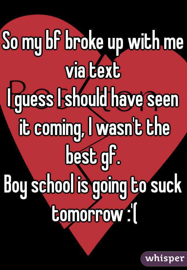 So my bf broke up with me via text 
I guess I should have seen it coming, I wasn't the best gf. 
Boy school is going to suck tomorrow :'(