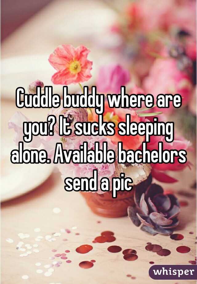 Cuddle buddy where are you? It sucks sleeping alone. Available bachelors send a pic 