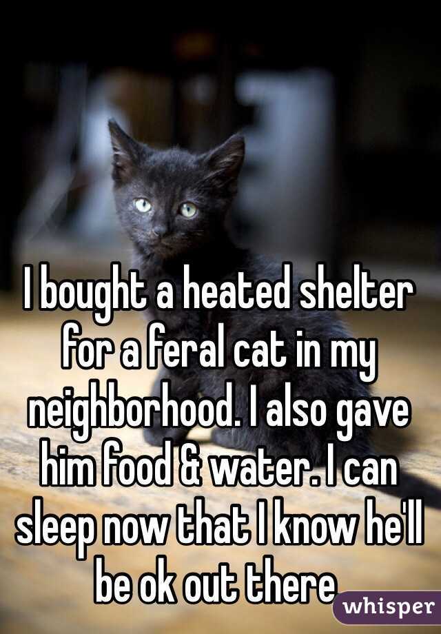 I bought a heated shelter for a feral cat in my neighborhood. I also gave him food & water. I can sleep now that I know he'll be ok out there. 