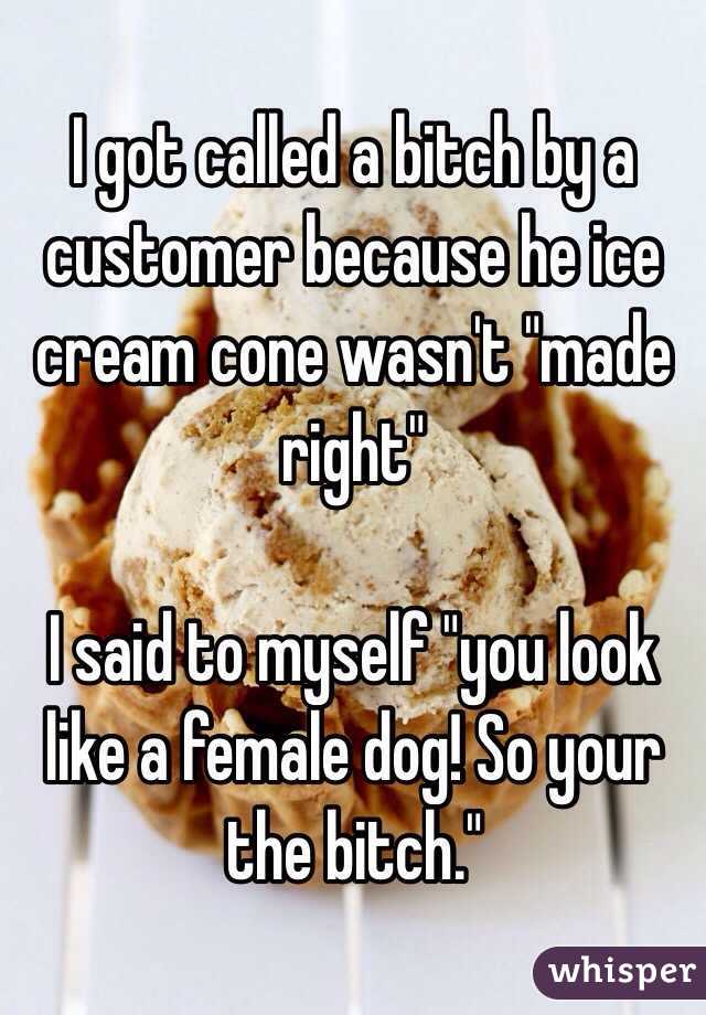 I got called a bitch by a customer because he ice cream cone wasn't "made right" 

I said to myself "you look like a female dog! So your the bitch." 