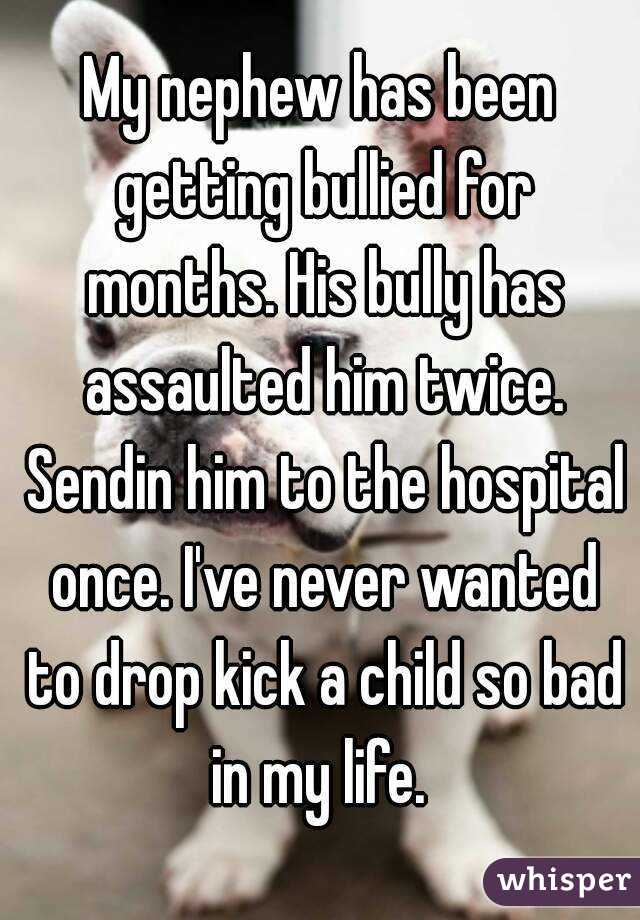 My nephew has been getting bullied for months. His bully has assaulted him twice. Sendin him to the hospital once. I've never wanted to drop kick a child so bad in my life. 