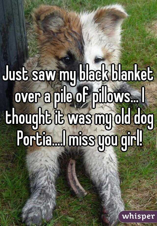 Just saw my black blanket over a pile of pillows... I thought it was my old dog Portia....I miss you girl!