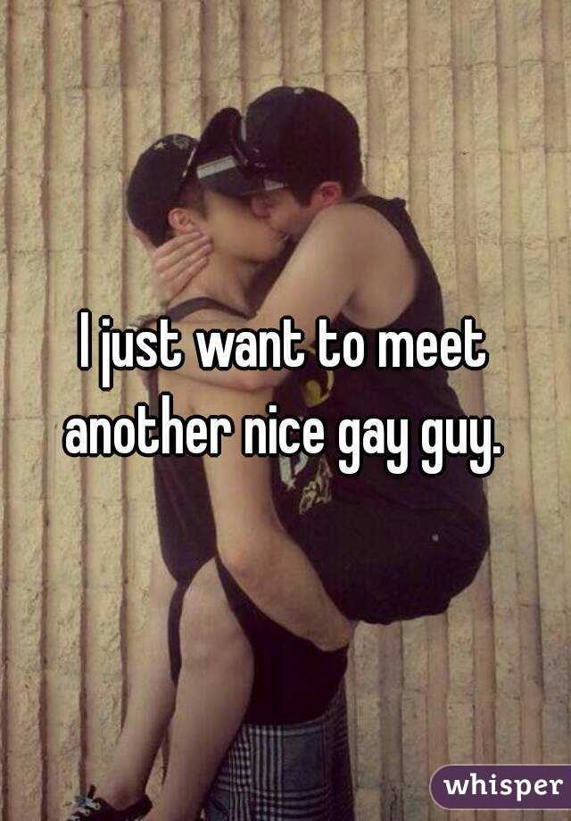 I just want to meet another nice gay guy. 