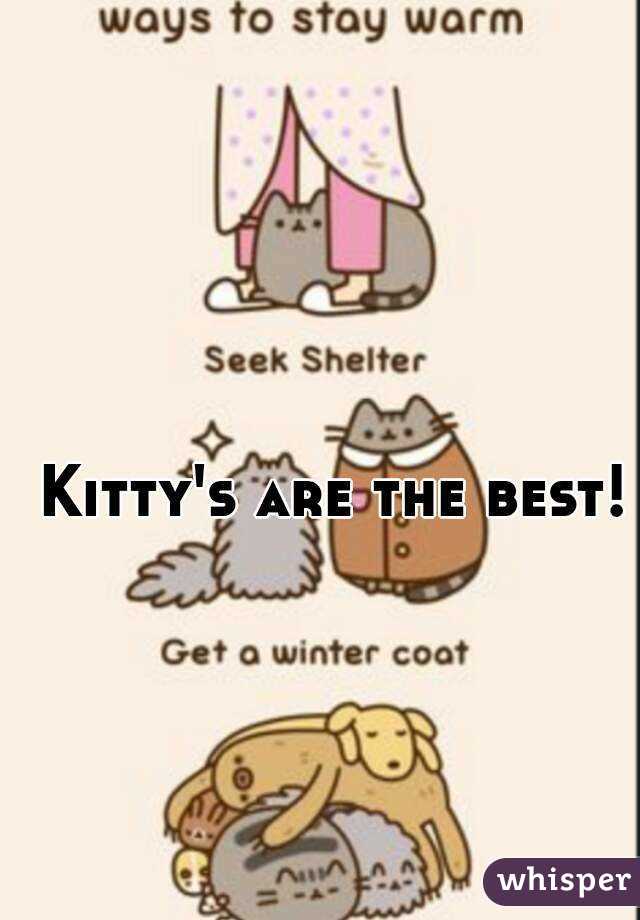 Kitty's are the best!