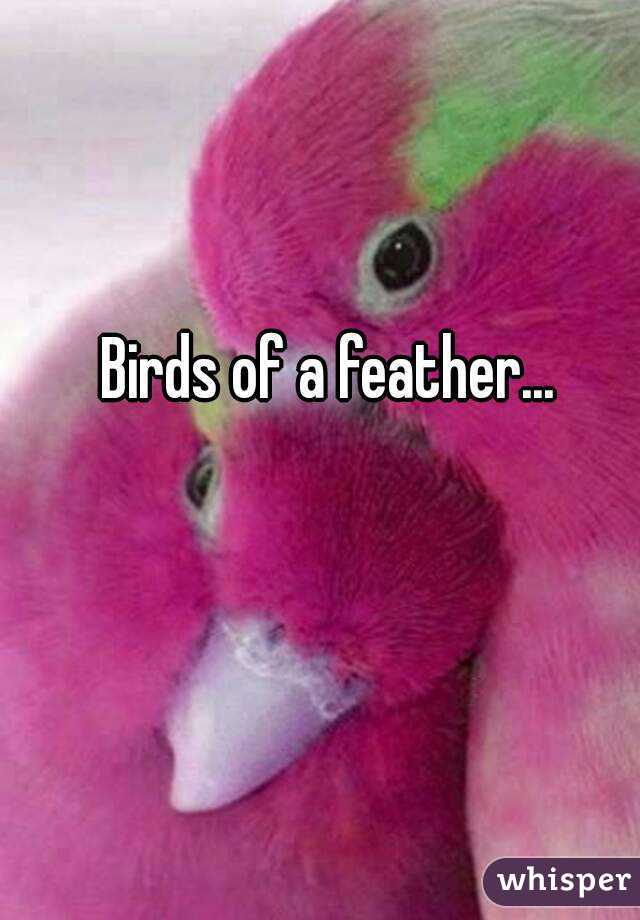 Birds of a feather...