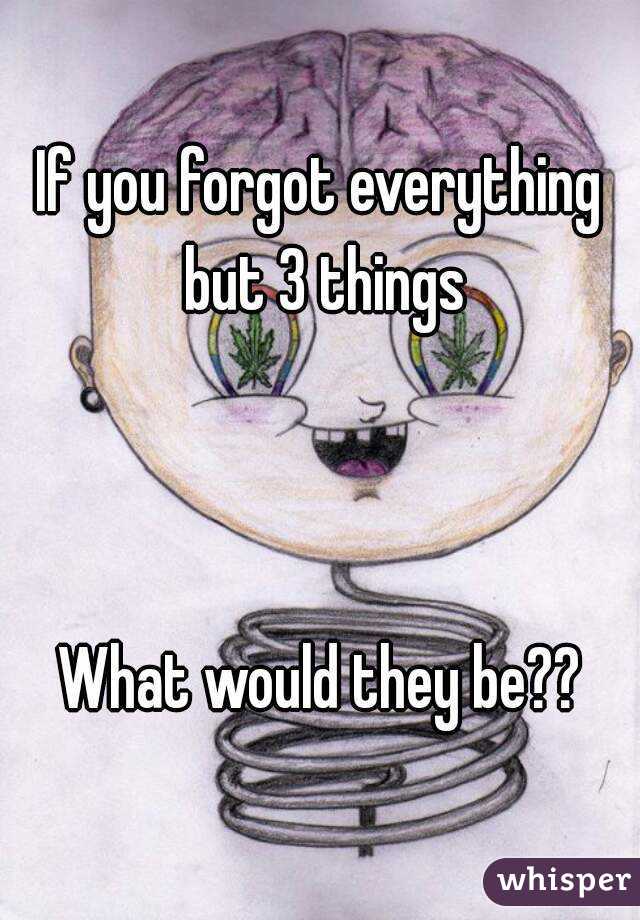 If you forgot everything but 3 things



What would they be??