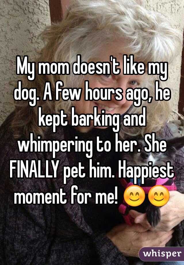 My mom doesn't like my dog. A few hours ago, he kept barking and whimpering to her. She FINALLY pet him. Happiest moment for me! 😊😊