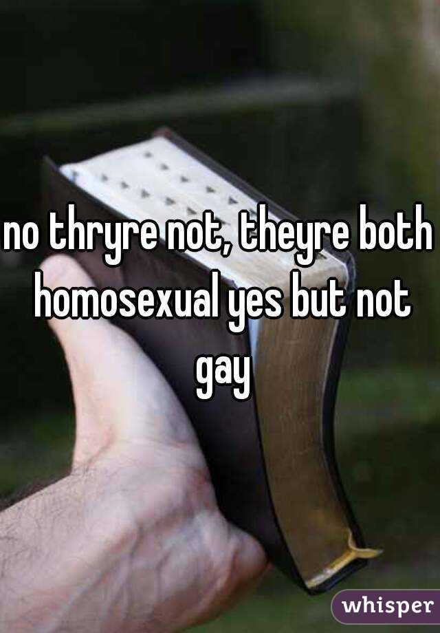 no thryre not, theyre both homosexual yes but not gay