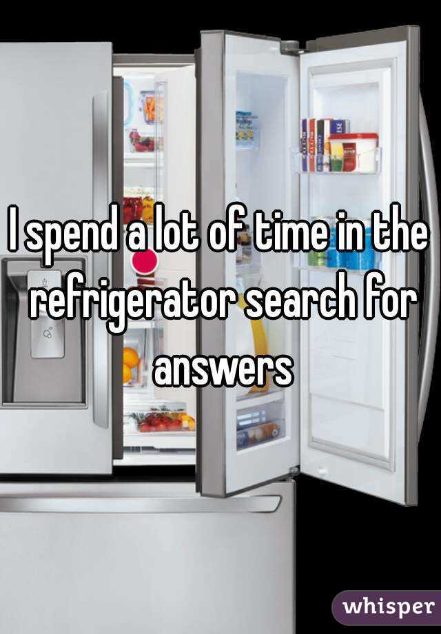 I spend a lot of time in the refrigerator search for answers