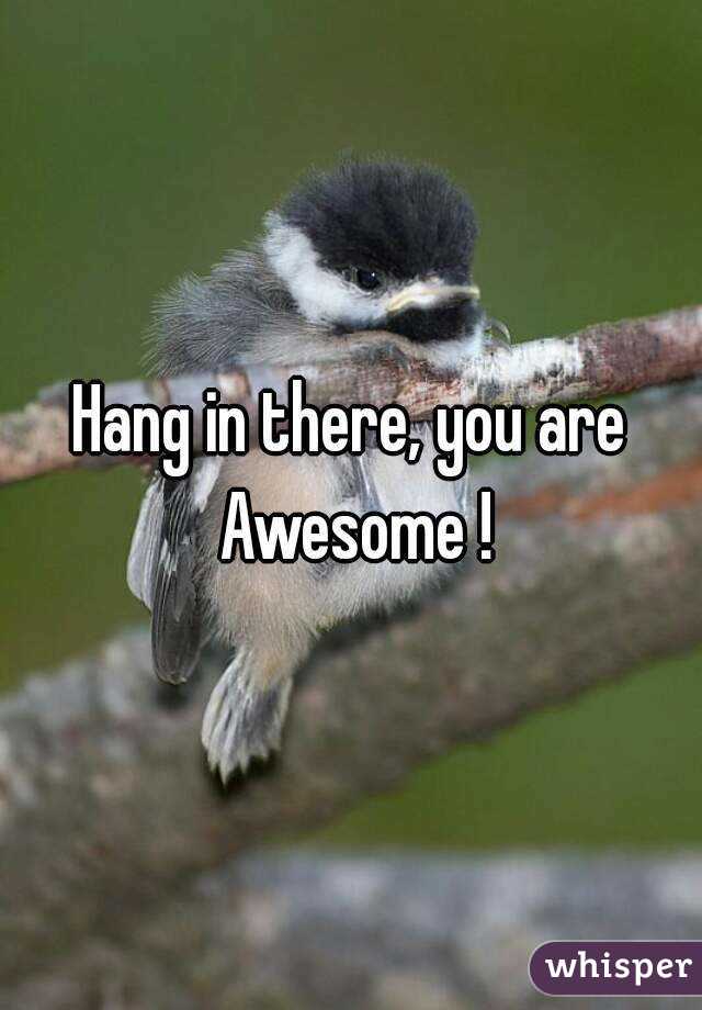 Hang in there, you are Awesome !