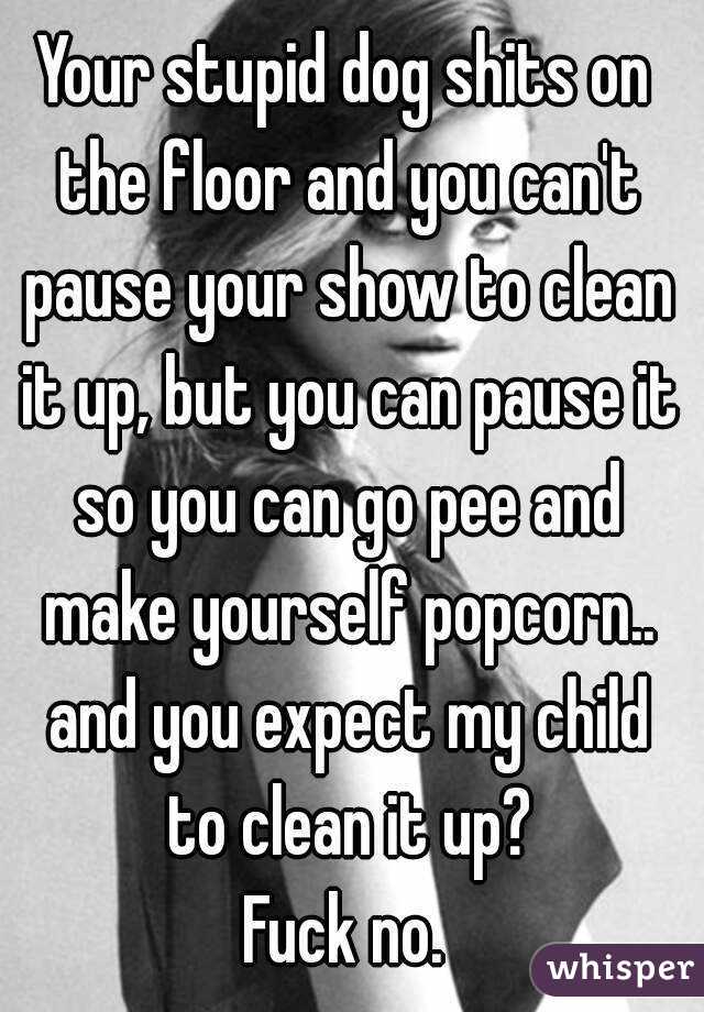 Your stupid dog shits on the floor and you can't pause your show to clean it up, but you can pause it so you can go pee and make yourself popcorn.. and you expect my child to clean it up?
Fuck no.