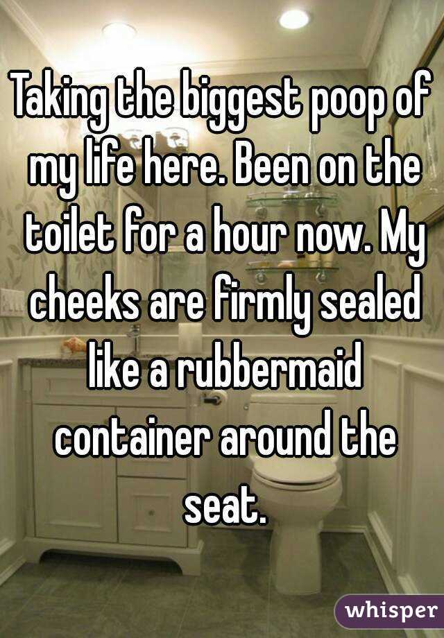 Taking the biggest poop of my life here. Been on the toilet for a hour now. My cheeks are firmly sealed like a rubbermaid container around the seat.