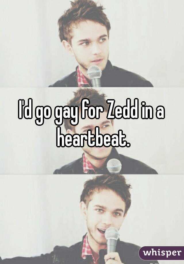 I'd go gay for Zedd in a heartbeat.