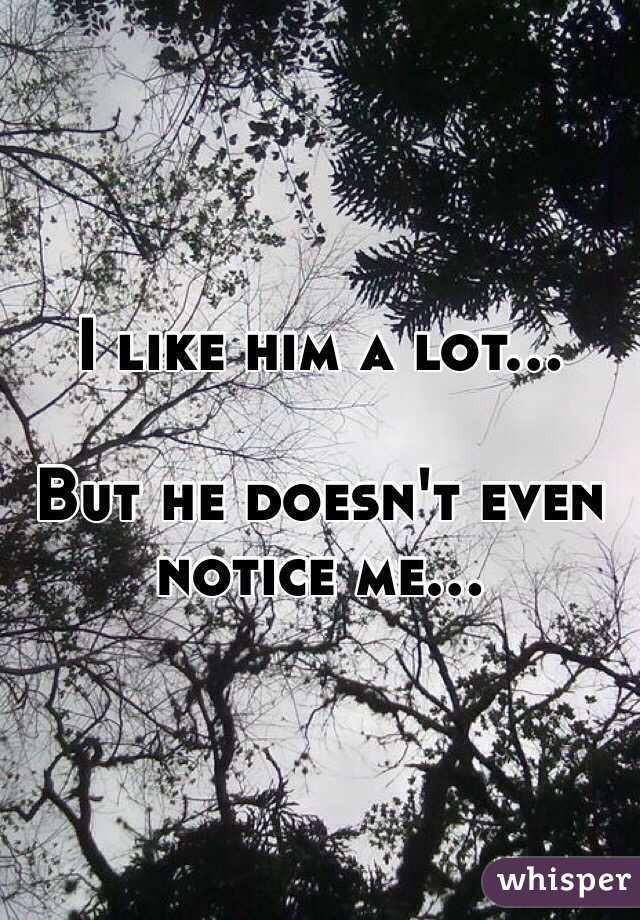 I like him a lot...

But he doesn't even notice me...