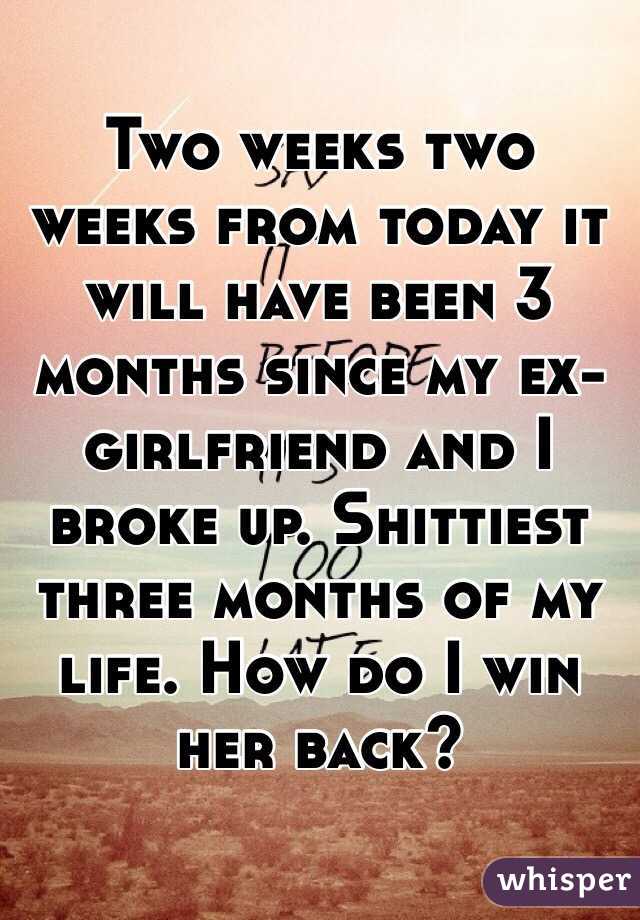 Two weeks two weeks from today it will have been 3 months since my ex-girlfriend and I broke up. Shittiest three months of my life. How do I win her back?