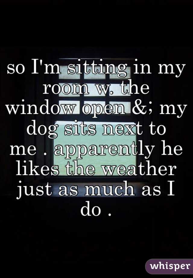 so I'm sitting in my room w. the window open &; my dog sits next to me . apparently he likes the weather just as much as I do . 