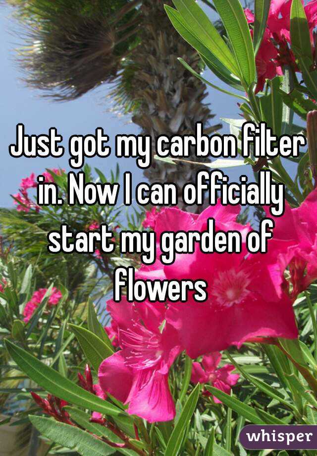 Just got my carbon filter in. Now I can officially start my garden of flowers