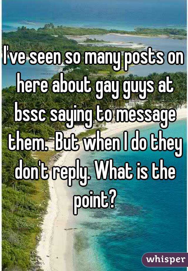 I've seen so many posts on here about gay guys at bssc saying to message them.  But when I do they don't reply. What is the point?