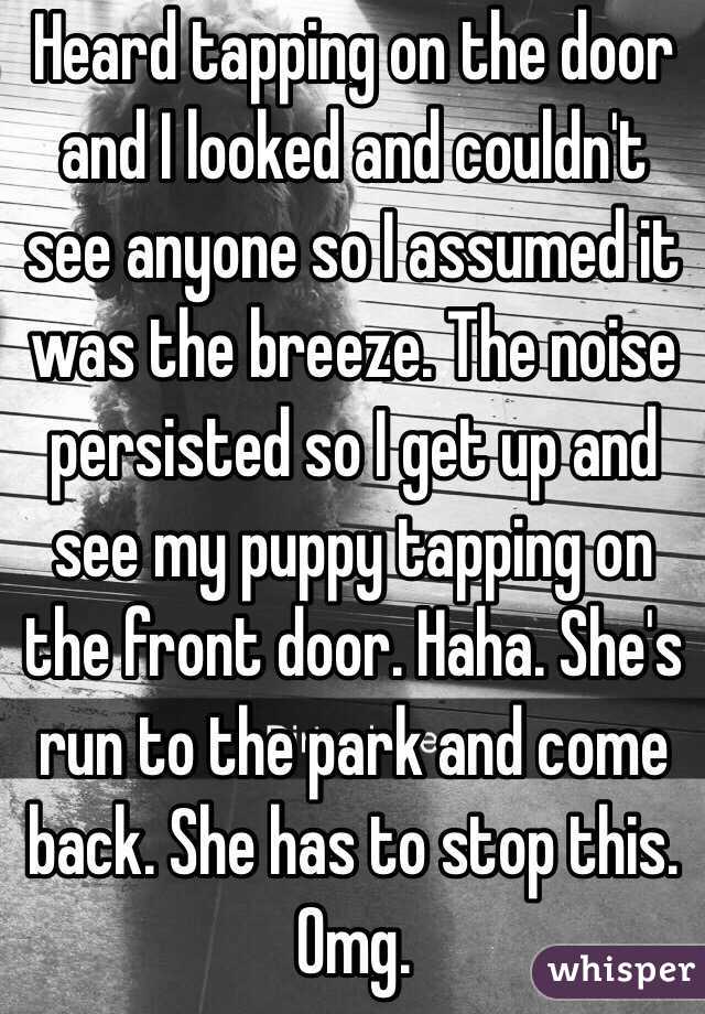 Heard tapping on the door and I looked and couldn't see anyone so I assumed it was the breeze. The noise persisted so I get up and see my puppy tapping on the front door. Haha. She's run to the park and come back. She has to stop this. Omg.