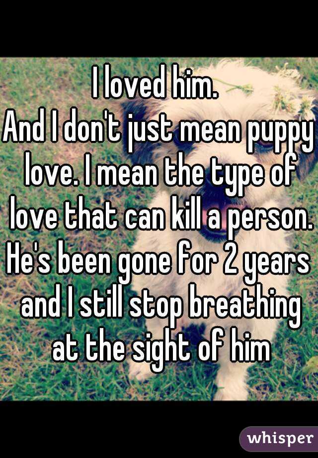 I loved him. 
And I don't just mean puppy love. I mean the type of love that can kill a person.
He's been gone for 2 years and I still stop breathing at the sight of him