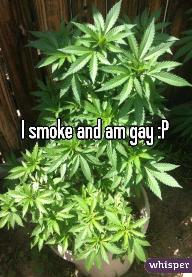 I smoke and am gay :P