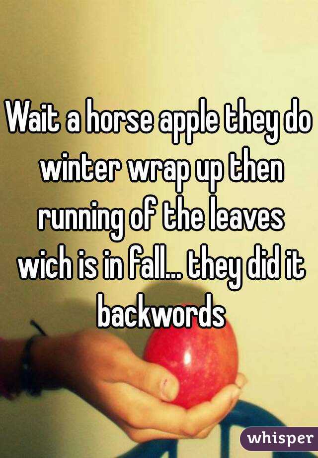 Wait a horse apple they do winter wrap up then running of the leaves wich is in fall... they did it backwords