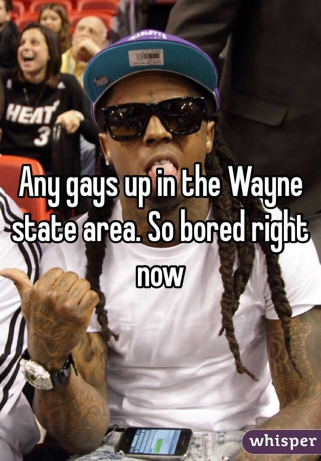 Any gays up in the Wayne state area. So bored right now