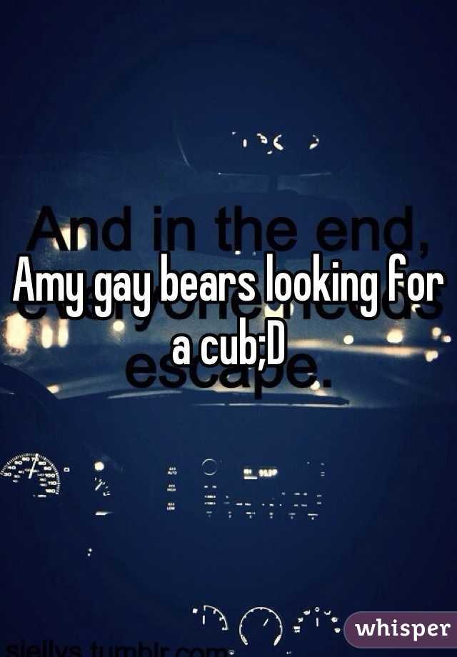 Amy gay bears looking for a cub;D