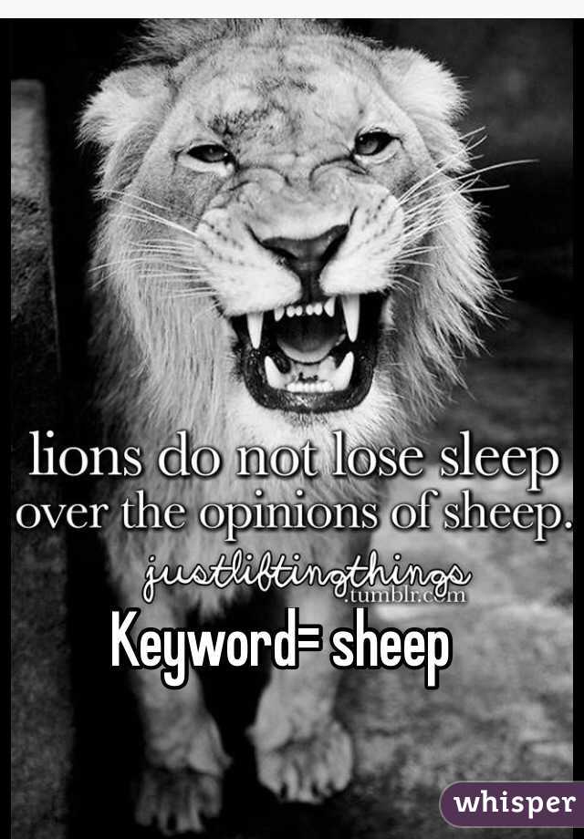 Keyword= sheep 

