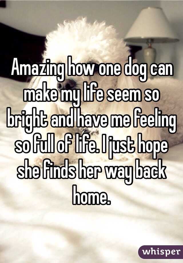 Amazing how one dog can make my life seem so bright and have me feeling so full of life. I just hope she finds her way back home.