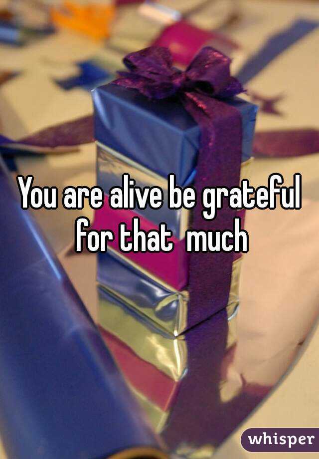 You are alive be grateful for that  much