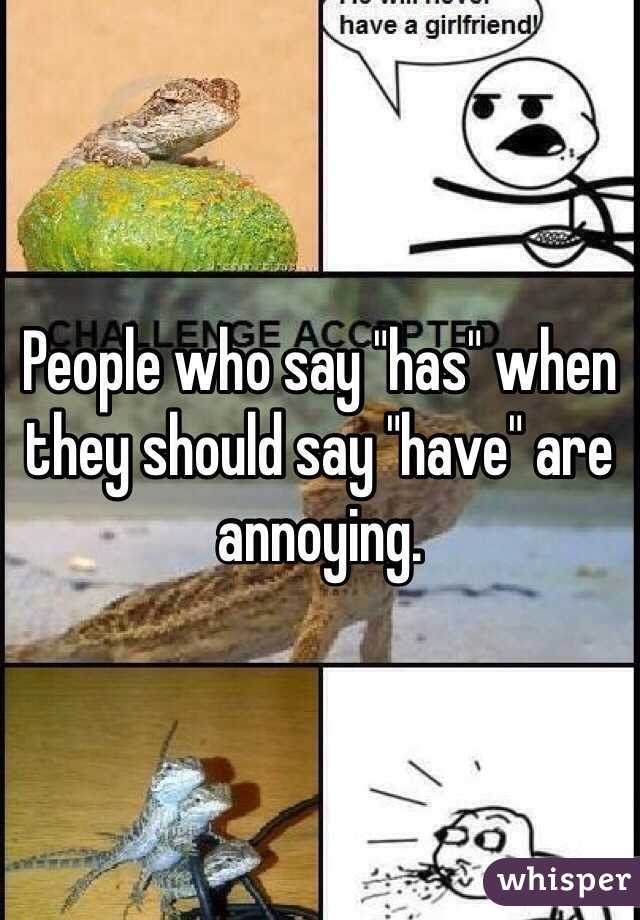 People who say "has" when they should say "have" are annoying. 