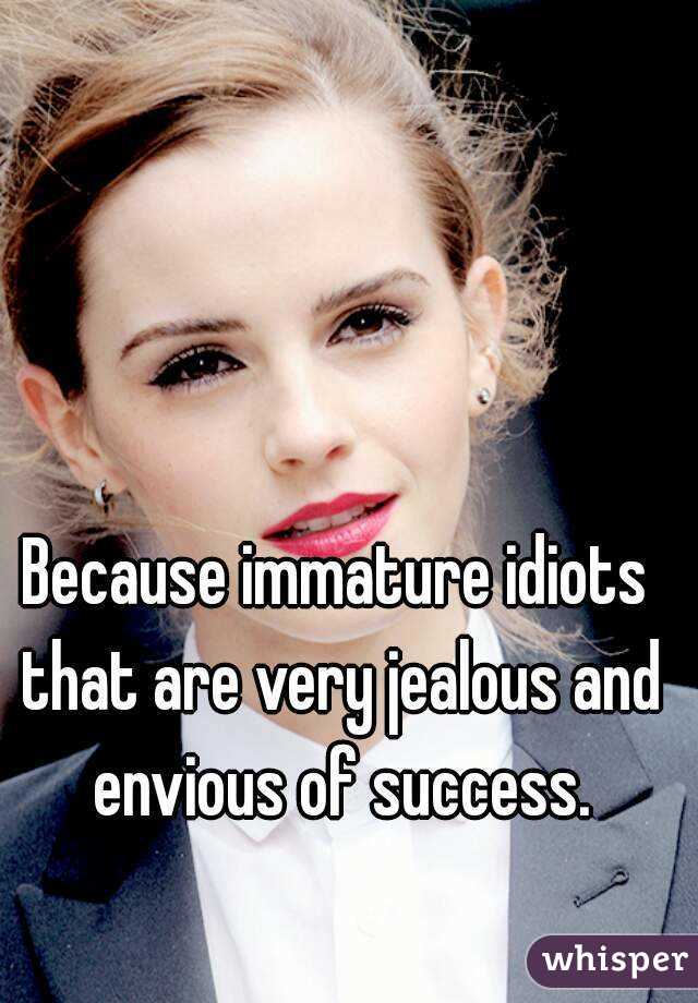 Because immature idiots that are very jealous and envious of success.