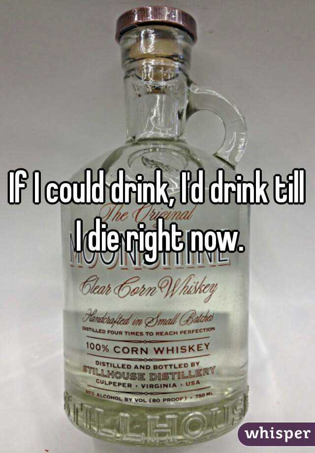 If I could drink, I'd drink till I die right now.