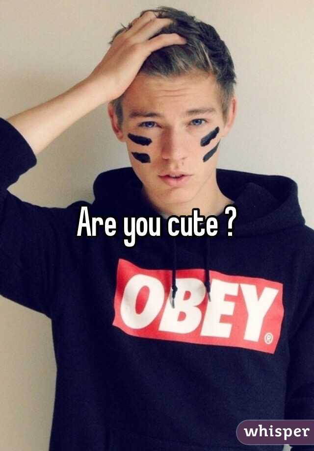 Are you cute ?