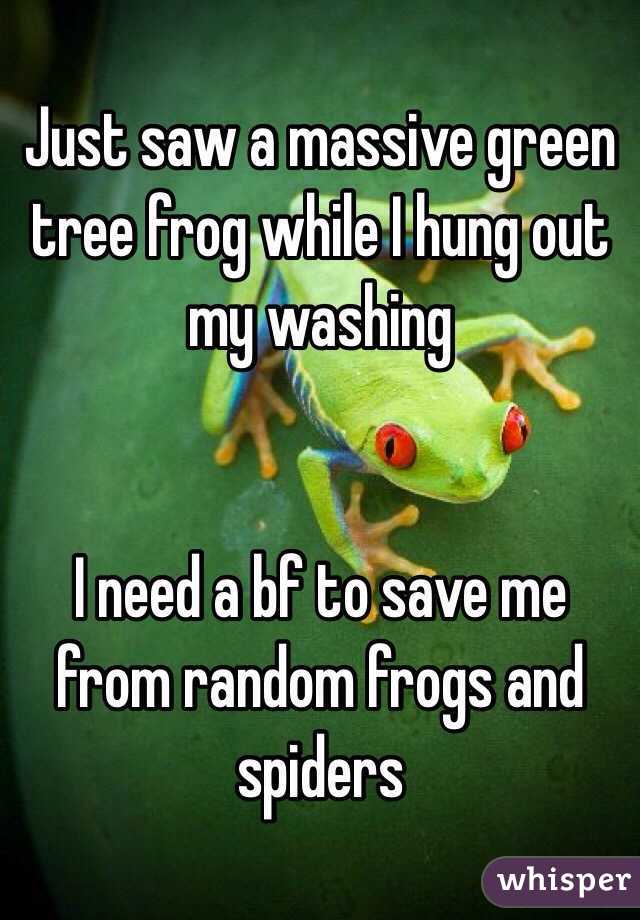 Just saw a massive green tree frog while I hung out my washing


I need a bf to save me from random frogs and spiders 