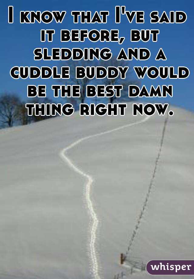 I know that I've said it before, but sledding and a cuddle buddy would be the best damn thing right now.