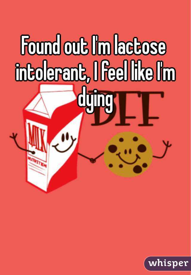 Found out I'm lactose intolerant, I feel like I'm dying