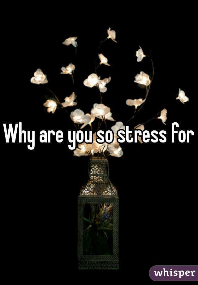 Why are you so stress for