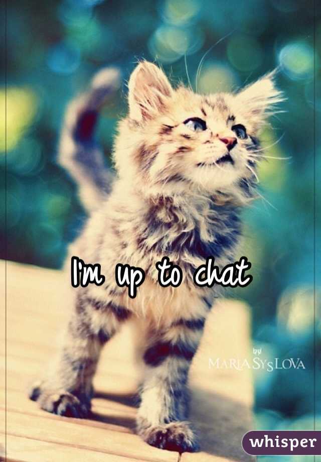 I'm up to chat