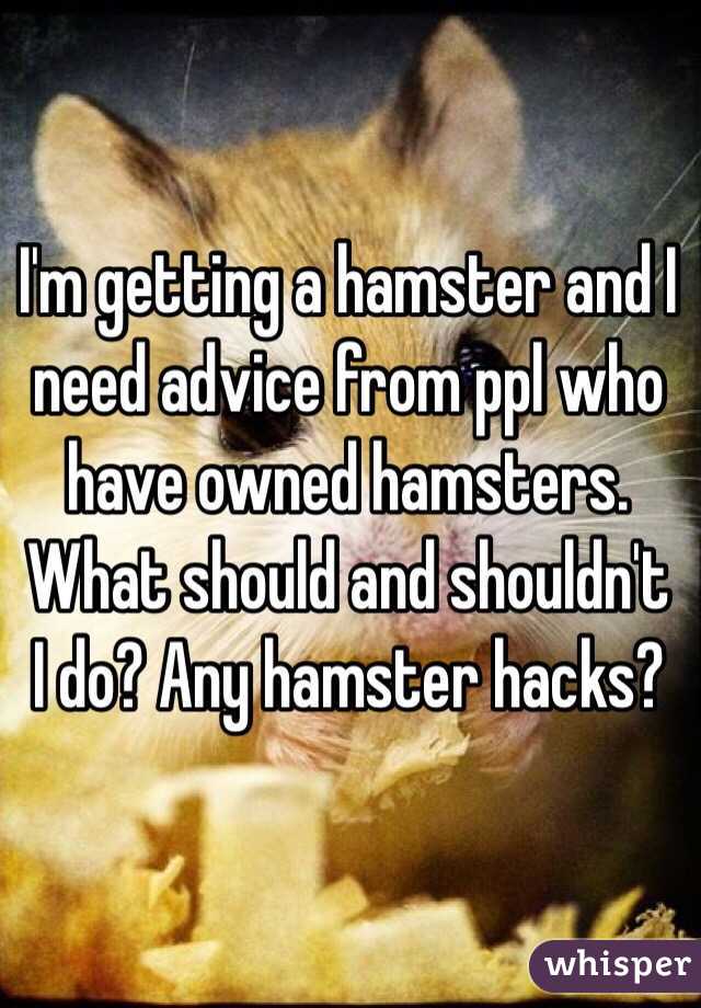 I'm getting a hamster and I need advice from ppl who have owned hamsters. What should and shouldn't I do? Any hamster hacks?