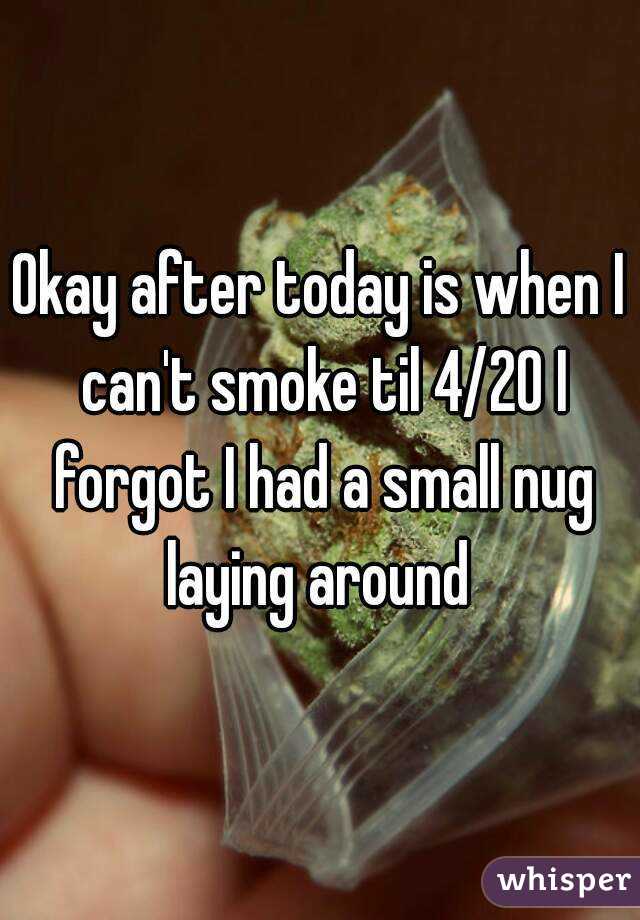 Okay after today is when I can't smoke til 4/20 I forgot I had a small nug laying around 