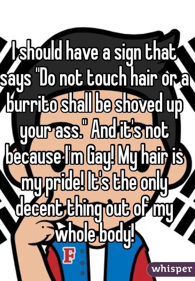 I should have a sign that says "Do not touch hair or a burrito shall be shoved up your ass." And it's not because I'm Gay! My hair is my pride! It's the only decent thing out of my whole body!